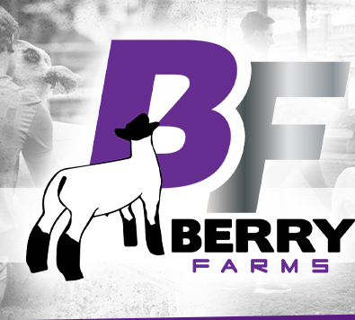 Berry Farms Club Lambs - Sac City, Iowa