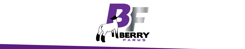 Berry Farms Club Lambs - Sac City, Iowa