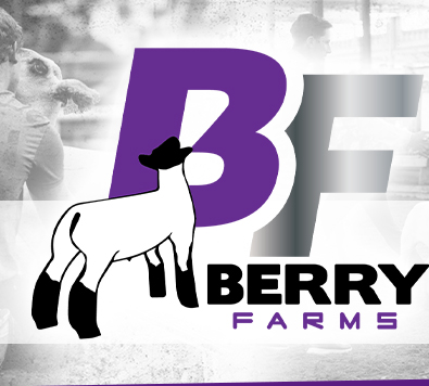 Berry Farms Club Lambs - Sac City, Iowa