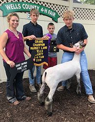 Berry Farms Winners