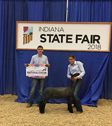 Berry Farms Winners