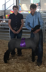 Berry Farms Winners