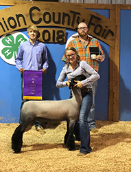 Berry Farms Winners