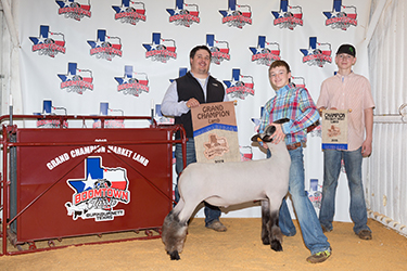 Berry Club Lambs Winners