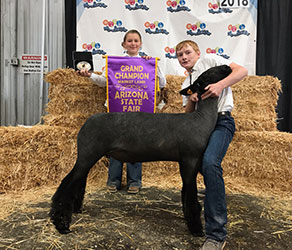 Berry Farms Winners