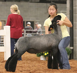 Berry Farms Winners