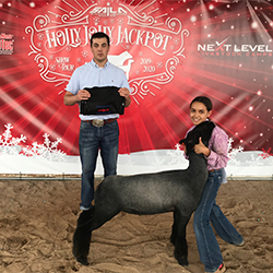 Berry Farms Winners
