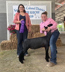 Berry Farms Winners