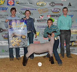 Berry Farms Winners