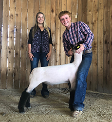 Berry Farms Winners