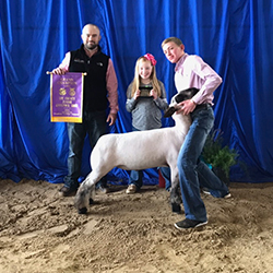 Berry Farms Winners