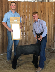 Berry Farms Winners