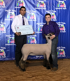 Berry Club Lambs Winners