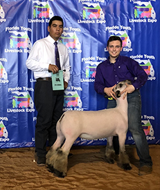 Berry Club Lambs Winners