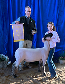 Berry Farms Winners