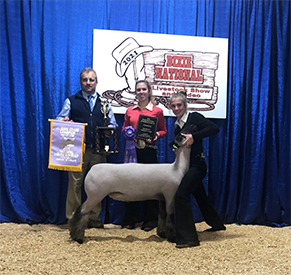 Berry Club Lambs Winners