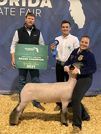 Berry Club Lambs Winners