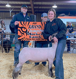 Berry Club Lambs Winners