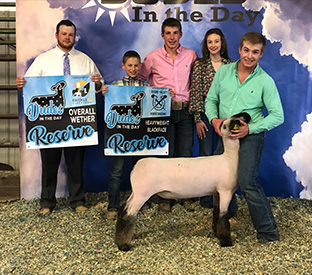 Berry Farms Winners