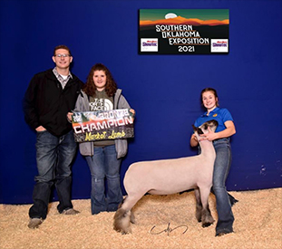 Berry Club Lambs Winners