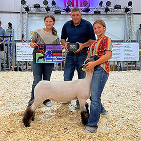 Berry Farms Winners
